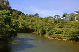 ECUADOR - Foresta Amazzonica - 16